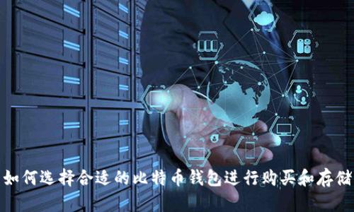 如何选择合适的比特币钱包进行购买和存储