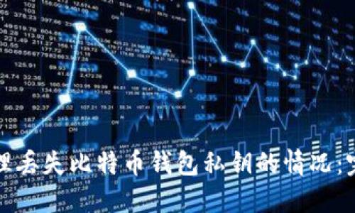 如何处理丢失比特币钱包私钥的情况：完整指南