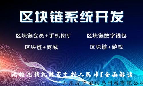 比特儿钱包能否支持人民币？全面解读
