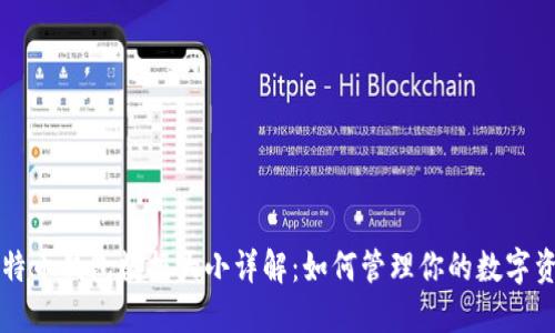 比特币钱包数据大小详解：如何管理你的数字资产
