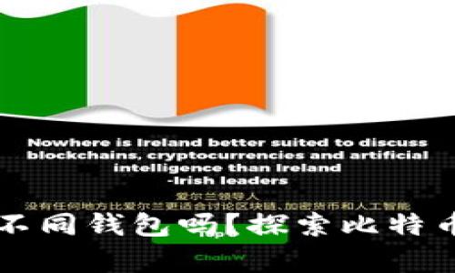 同一个比特币可以存放在不同钱包吗？探索比特币钱包的多样性与使用场景