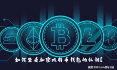 如何查看加密比特币钱包