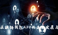 畅想区块链钱包APP的未来发展与应用