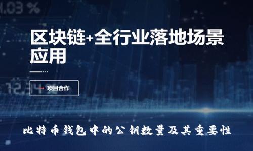 比特币钱包中的公钥数量及其重要性