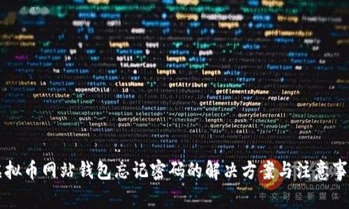 虚拟币网站钱包忘记密码的解决方案与注意事项