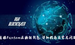 如何连接Fantom区块链钱包