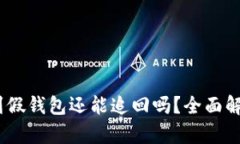 USDT转到假钱包还能追回吗