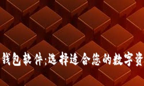 存虚拟币的钱包软件：选择适合您的数字资产管理工具