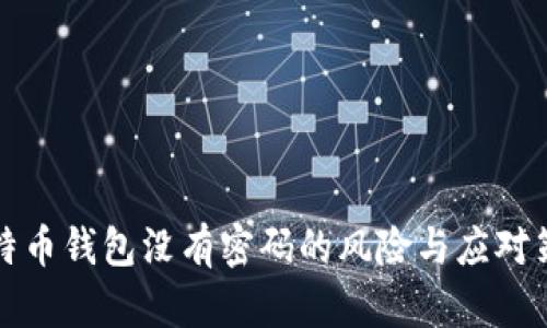 比特币钱包没有密码的风险与应对策略