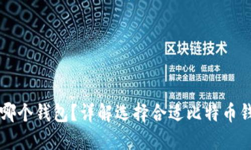 比特币用哪个钱包？详解选择合适比特币钱包的指南