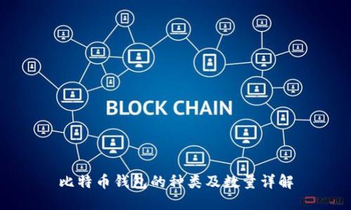 比特币钱包的种类及数量详解
