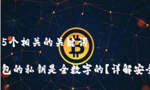 思考一个和 和5个相关的关键词

 什么虚拟币钱包的私钥是全数字的？详解安全性和使用技巧
