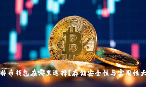 : 比特币钱包在哪里选择？存储安全性与实用性大解析