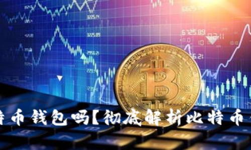 必须下载比特币钱包吗？彻底解析比特币钱包的必要性