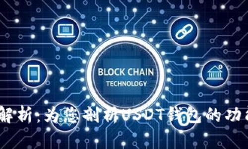 USDT钱包图解析：为您剖析USDT钱包的功能与使用方法