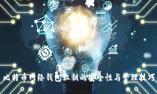 比特币网络钱包私钥的安全性与管理技巧