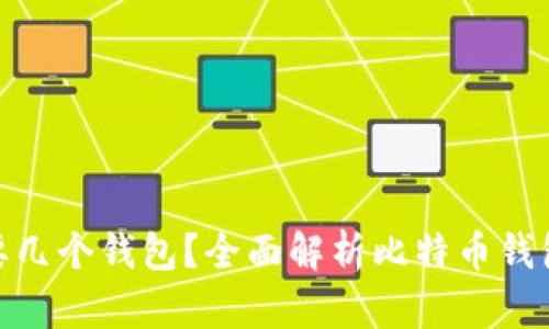 存储比特币需要几个钱包？全面解析比特币钱包的种类与用途