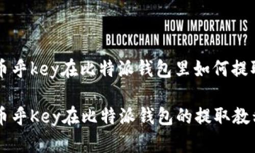币乎key在比特派钱包里如何提取

币乎Key在比特派钱包的提取教程