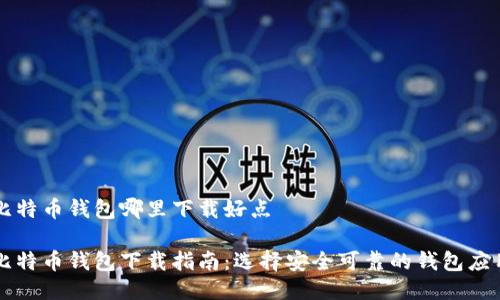 比特币钱包哪里下载好点

比特币钱包下载指南：选择安全可靠的钱包应用