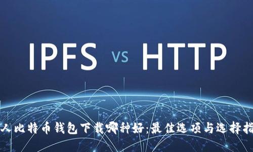 个人比特币钱包下载哪种好：最佳选项与选择指南