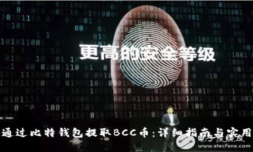如何通过比特钱包提取BCC币：详细指南与实用技巧