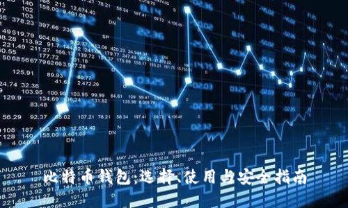 比特币钱包：选择、使用与安全指南