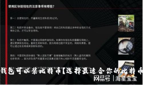 哪个钱包可以装比特币？选择最适合你的比特币钱包