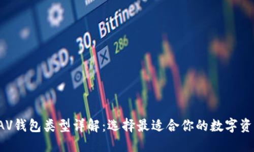 : 区块链XAV钱包类型详解：选择最适合你的数字资产管理工具