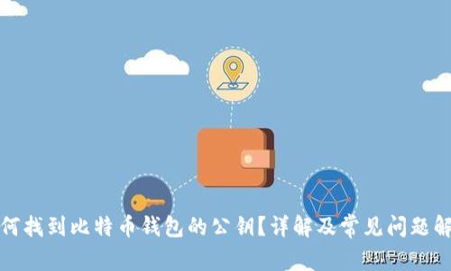如何找到比特币钱包的公钥？详解及常见问题解答