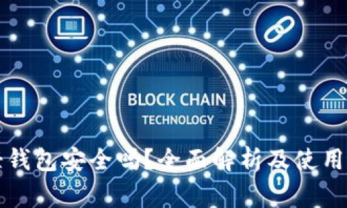 比特币轻钱包安全吗？全面解析及使用注意事项