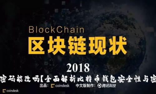 比特币钱包密码能改吗？全面解析比特币钱包安全性与密码管理技巧