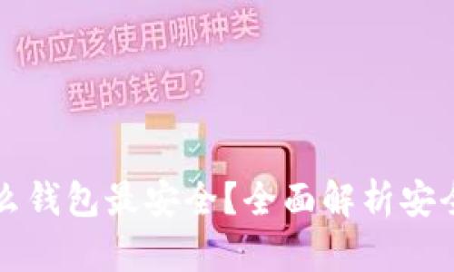 区块链用什么钱包最安全？全面解析安全钱包的选择