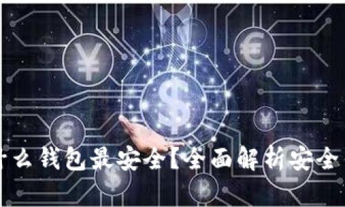 区块链用什么钱包最安全？全面解析安全钱包的选择