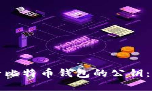 如何查看比特币钱包的公钥：完整指南