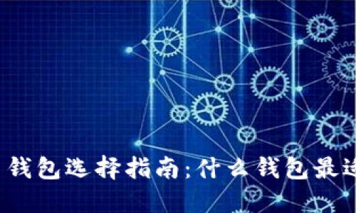 比特币钱包选择指南：什么钱包最适合你？