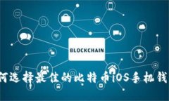 如何选择最佳的比特币i