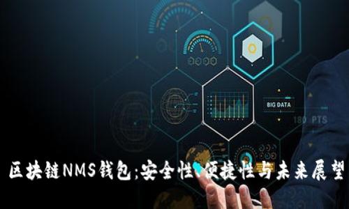 区块链NMS钱包：安全性、便捷性与未来展望