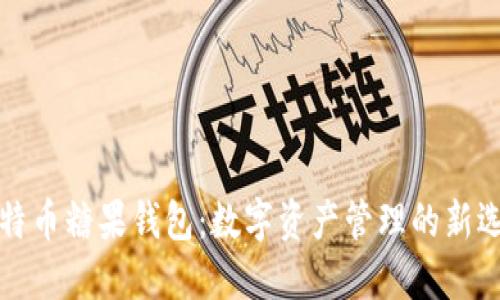 比特币糖果钱包：数字资产管理的新选择
