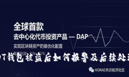 : USDT钱包被盗后如何报警及后续处理指南