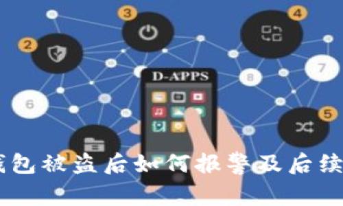 : USDT钱包被盗后如何报警及后续处理指南