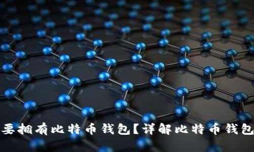 是否一定要拥有比特币钱包？详解比特币钱包的重要性