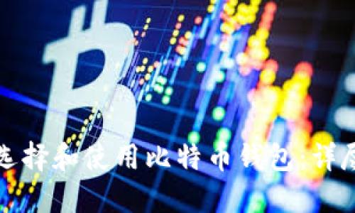 如何选择和使用比特币钱包：详尽指南
