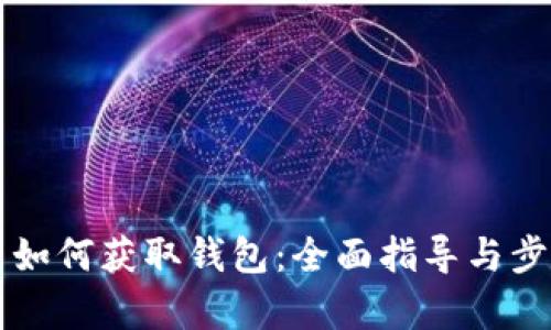 比特币如何获取钱包：全面指导与步骤解析