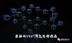 最好的USDT钱包选择指南