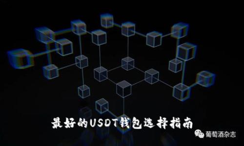 最好的USDT钱包选择指南