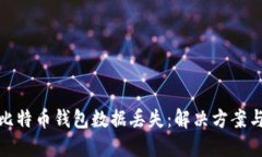 如何应对比特币钱包数据