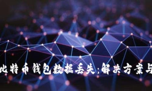 如何应对比特币钱包数据丢失：解决方案与预防措施
