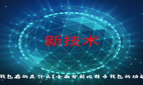 比特币钱包存的是什么？全面分析比特币钱包的功能与作用