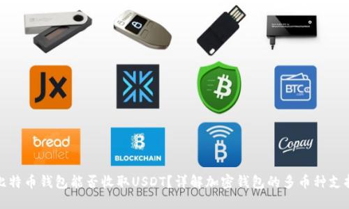 比特币钱包能否收取USDT？详解加密钱包的多币种支持