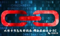比特币钱包选择指南：哪